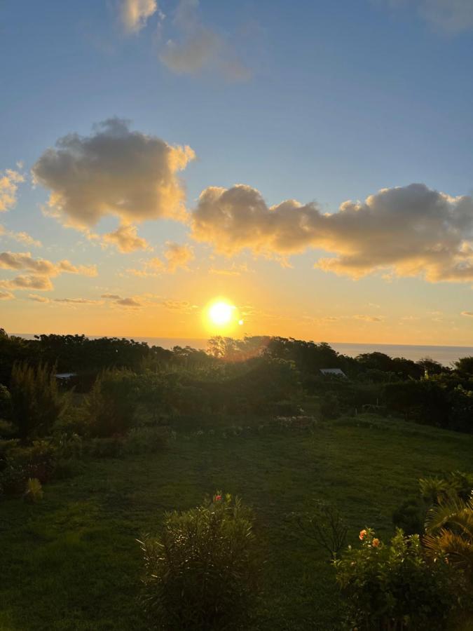 Teanehi Bed & Breakfast Hanga Roa Exterior foto